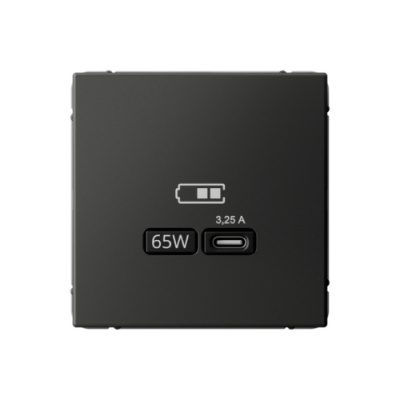 ARTGALLERY USB РОЗЕТКА тип-С 65Вт высокоскор.заряд. QC, PD, механизм, БАЗАЛЬТ Systeme Electric ArtGallery GAL001427