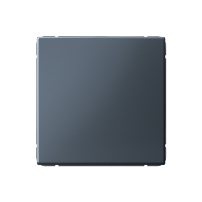 ARTGALLERY 1-клавишный ВЫКЛЮЧАТЕЛЬ, сх.1, 10АХ, ГРИФЕЛЬ Systeme Electric ArtGallery GAL000711