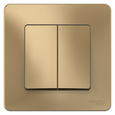 Выключатель 2-клавишный скрытой установки 10A 250B Systeme Electric Blanca Титан Systeme Electric Blanca BLNVS010504