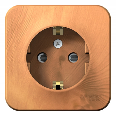 Розетка с заземлением со шторками накладного монтажа 16A 250В Systeme Electric Blanca Ясень Systeme Electric Blanca BLNRA011105