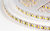 017418Arlight_3.jpg