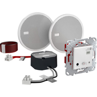 Unica Аудиосистема BLUETOOTH, Белый Schneider Electric Schneider Electric  MGU70.566.18