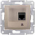 Розетка компьютерная 1-ая RJ45 кат.5e UTP неэкранированная Schneider Electric Sedna Титан