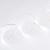 024506Arlight_1.jpg