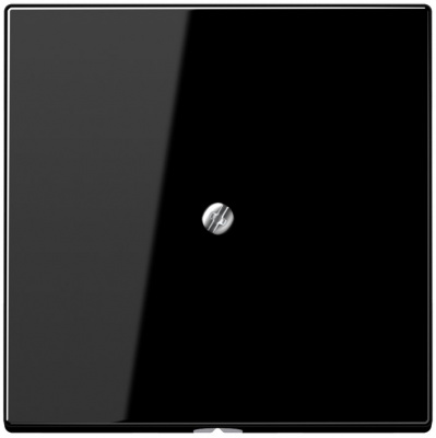 Вывод кабеля Jung Черный Jung LS серия LS990ASW