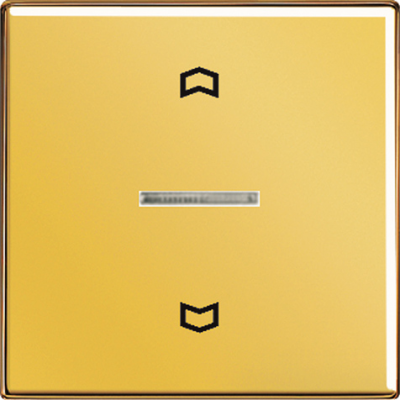 Накладка выключателя жалюзийного электронного нажимного JUNG LS 990/ LS-design/ LS plus Имитация золота Jung LS 990/LS-design/LS plus GO5232