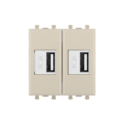 USB зарядное устройство модульное, "Avanti", "Ванильная дымка", 2 модуля DKC DKC Avanti 4405542DKC