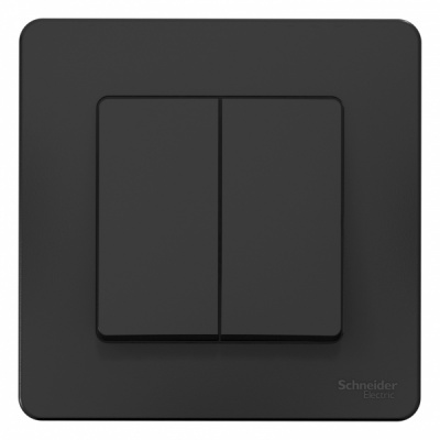Выключатель 2-клавишный скрытой установки 10A 250B Systeme Electric Blanca Антрацит Systeme Electric Blanca BLNVS010506