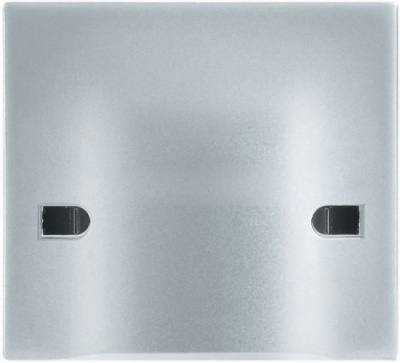 Вывод кабеля 45A с нерасплавляющейся лицевой панелью 2 мод Bticino Axolute Алюминий Bticino Axolute HC4955/45