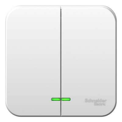 Выключатель 2-клавишный накладного монтажа монтажная пластина 10A 250B Systeme Electric Blanca Белый Systeme Electric Blanca BLNVA105021