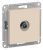 ATN000293_1.jpg