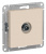 ATN000291_1.jpg