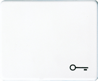 Клавиша 1-ая с символом Ключ Jung Белый Jung SL 500 SL590TWW