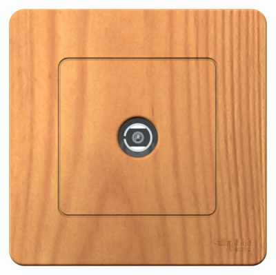 Розетка TV скрытой установки Systeme Electric Blanca Ясень Systeme Electric Blanca BLNTS000015