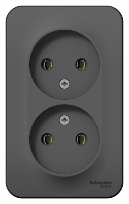 Розетка двойная без заземления без шторок накладного монтажа 16A 250В Systeme Electric Blanca Антрацит Systeme Electric Blanca BLNRA000206