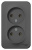 Розетка двойная без заземления без шторок накладного монтажа 16A 250В Systeme Electric Blanca Антрацит Systeme Electric Blanca BLNRA000206