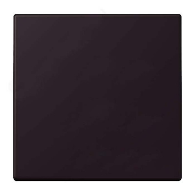 Клавиша для выключателя / кнопки Jung Noir divoire Jung LS серия LC9904320E