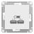 Розетка USB 5В 1 порт x 2,1A 2 порта х 1,05A механизм Schneider Electric AtlasDesign Белый Systeme Electric AtlasDesign ATN000133