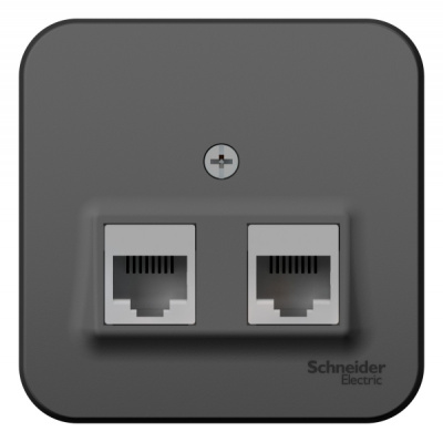 Розетка двойная компьютерная RJ45 кат.5E накладного монтажа с изолирующей пластиной Systeme Electric Blanca Антрацит Systeme Electric Blanca BLNIA045456