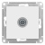 ATN001392_1.jpg