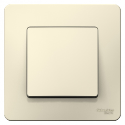 Выключатель 1-клавишный скрытой установки (cхема 1) 6A 250B Systeme Electric Blanca Молочный Systeme Electric Blanca BLNVS006102