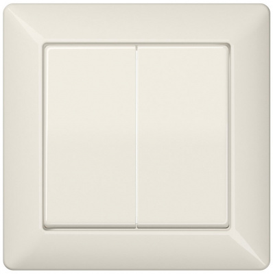 Клавиши с рамкой для сдвоенного выключателя; слоновая кость Jung Слоновая кость Jung AS 500 AS590-5