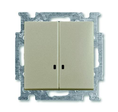 Выключатель 2-клавишный с подсветкой ABB BJB Basic55 Шампань ABB Basic 55 2CKA001012A2168
