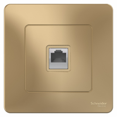 Розетка компьютерная скрытой установки RJ45 кат.5E Systeme Electric Blanca Титан Systeme Electric Blanca BLNIS045004