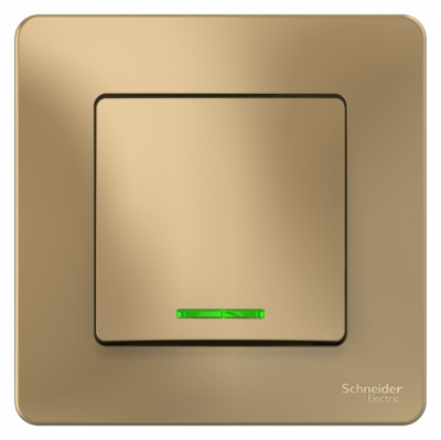 Переключатель 1-клавишный скрытой установки с подсветкой 10A 250B Systeme Electric Blanca Титан Systeme Electric Blanca BLNVS010614