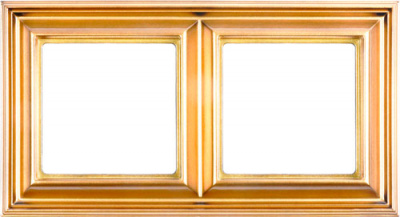 Золото Рамка 2-постовая Jung Eco Profi DECO Jung Eco Profi DECO EPD482GO