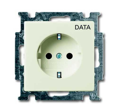 Розетка с заземлением с маркировкой DATA ABB Basic55 chalet Белый ABB Basic 55 2CKA002011A6145