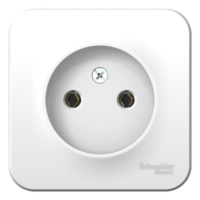 Розетка без заземления без шторок накладного монтажа монтажная пластина 16A 250В Systeme Electric Blanca Белый Systeme Electric Blanca BLNRA000121