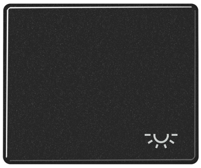 Клавиша 1-ая с символом Освещение Jung Черный Jung SL 500 SL590LSW