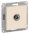 ATN000292_1.jpg