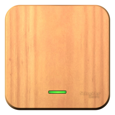 Выключатель 1-клавишный накладного монтажа (cхема 1) с подсветкой 10A 250B Systeme Electric Blanca Ясень Systeme Electric Blanca BLNVA101105