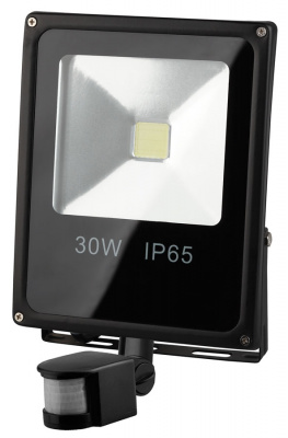 Прожектор светодиодный 183х65мм 30Вт IP65 6500К сенсор Черный Эра Стандарт ЭРА Стандарт LPR-30-6500K-M-SEN