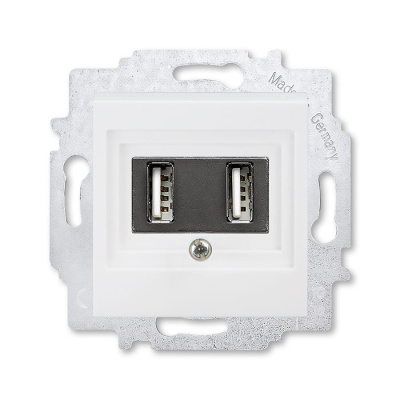 USB зарядка двойная белый ABB Levit ABB Levit 2CHH290040A6003