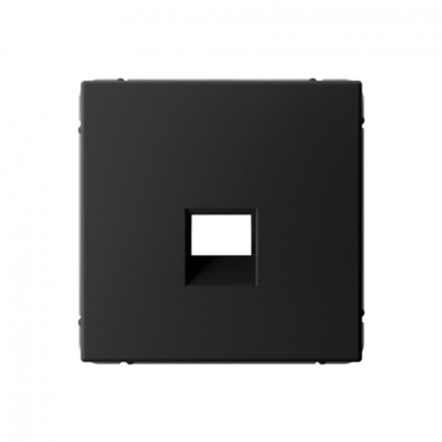 ARTGALLERY НАКЛАДКА для информационных функций типа Keystone, КАРБОН Systeme Electric ArtGallery GAL001084