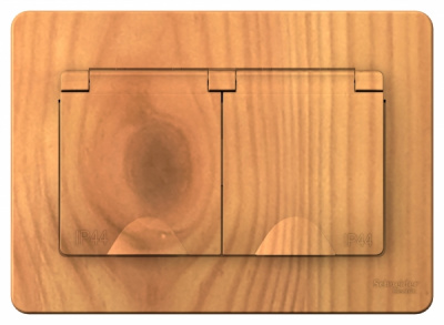 Розетка двойная с заземлением со шторками с крышками скрытой установки 16A 250В IP44 Systeme Electric Blanca Ясень Systeme Electric Blanca BLNRS441125