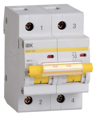 Автоматический выключатель 2P 10A D 10kA IEK ВА47-100 IEK ВА47-100 MVA40-2-010-D