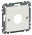 MTN393819_1.jpg
