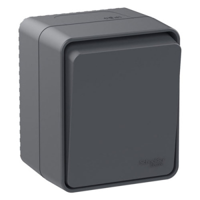 Переключатель 1-клавишный 10 АХ Schneider Electric AtlasDesign Profi54 Антрацит Systeme Electric AtlasDesign Profi54 ATN544061