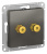 Аудиорозетка двухместная Schneider Electric AtlasDesign Сталь Systeme Electric AtlasDesign ATN000987