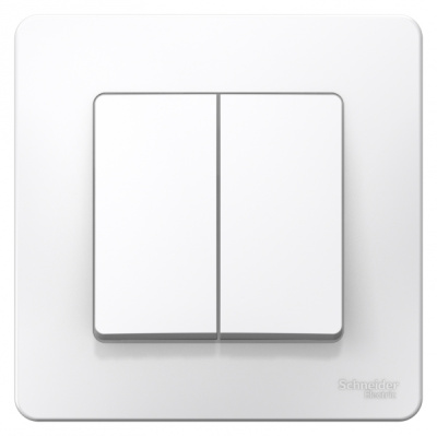 Выключатель 2-клавишный скрытой установки 6A 250В Systeme Electric Blanca Белый Systeme Electric Blanca BLNVS006501