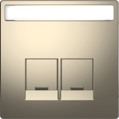 Накладка для разъемов Schneider Electric 2хRJХХ cо шторками c полем для надписи Merten D-Life Никель Merten D-Life MTN4574-6050