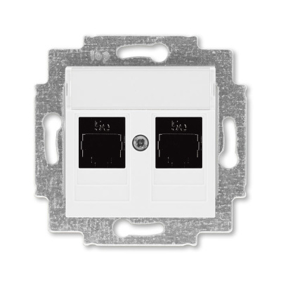 Розетка информационная двойная 2хRJ45 категория 5e белый ABB Levit ABB Levit 2CHH295118A6003