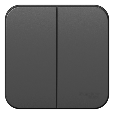 Выключатель 2-клавишный накладного монтажа 10A 250B Systeme Electric Blanca Антрацит Systeme Electric Blanca BLNVA105006