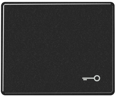 Клавиша 1-ая с символом Ключ Jung Черный Jung SL 500 SL590TSW