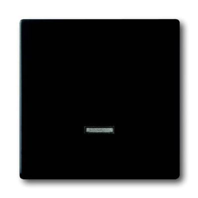 Клавиша для светорегулятора 6550 U-10x 6560 U-101 6593 U реле 6401 U-10x 6402 U ABB Solo/Future Черный бархат ABB Solo/Future 2CKA006599A2968