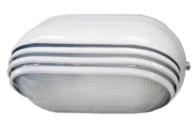 Светильник накладной, овал 165х282х130мм, с ресничкой, 100W, Е27, IP54 белый IEK НПП1207 IEK НПП LNPP0-1207-1-100-K01